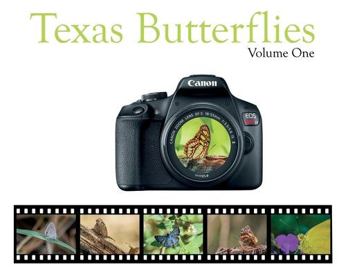 Texas Butterflies: Volume One