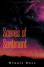 Scenes of Sentiment