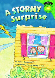 Title: A Stormy Surprise, Author: Jessica Gunderson