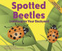 Spotted Beetles: Ladybugs in Your Backyard