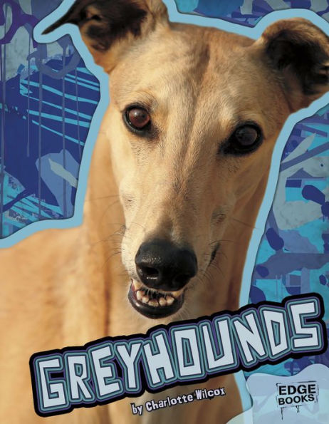 Greyhounds