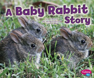 Title: A Baby Rabbit Story, Author: Jeni Wittrock