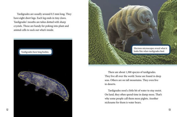 The Micro World of Dust Mites and Other Microscopic Creatures