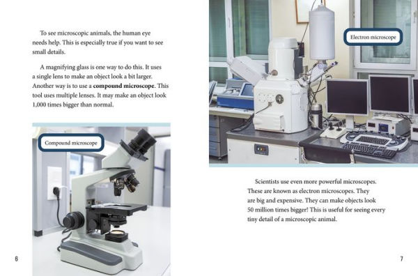 The Micro World of Dust Mites and Other Microscopic Creatures