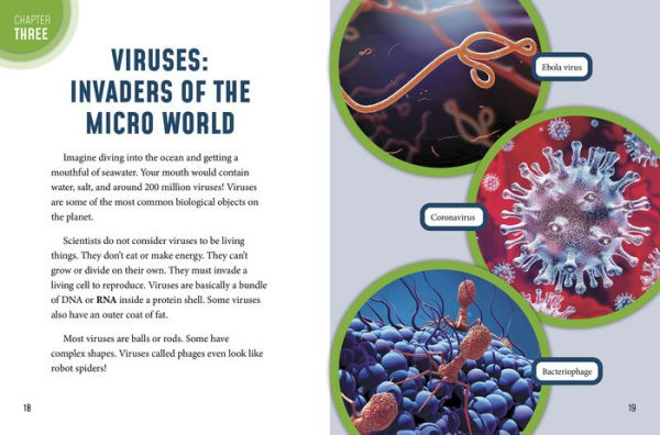The Micro World of Viruses and Bacteria