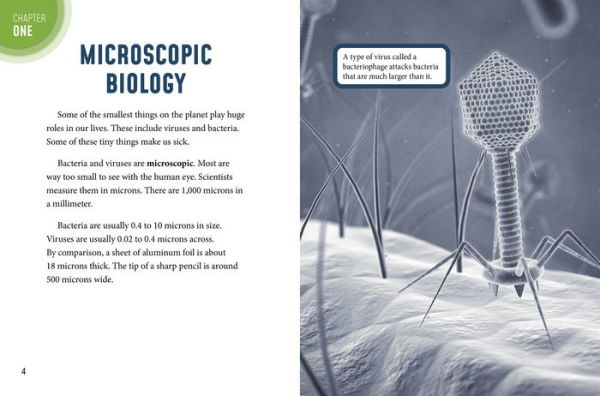 The Micro World of Viruses and Bacteria