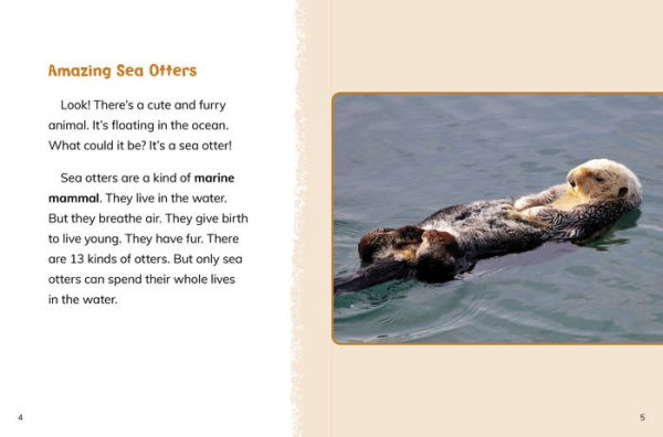 Sea Otters