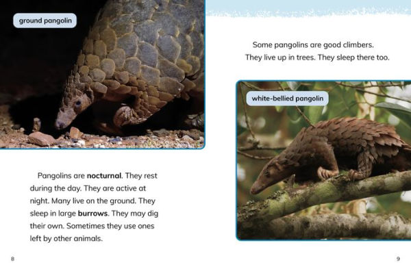 Pangolins