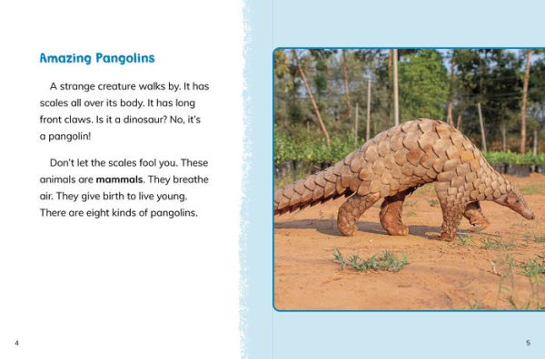 Pangolins