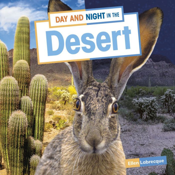 Day and Night the Desert
