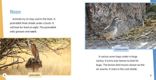 Day and Night the Desert