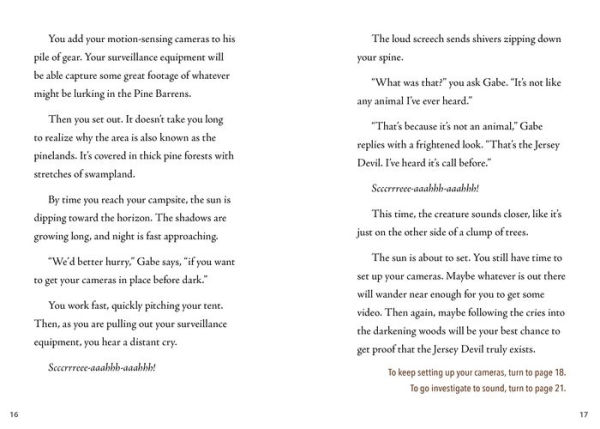 Can You Find the Jersey Devil?: An Interactive Monster Hunt