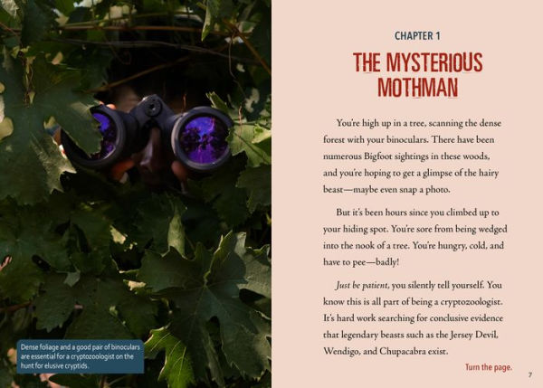 Can You Nab the Mothman?: An Interactive Monster Hunt