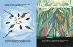 Alternative view 3 of My Life as a Red-Eyed Tree Frog