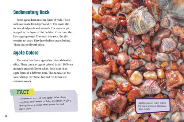 Dig and Discover Agates