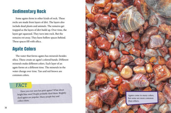 Dig and Discover Agates