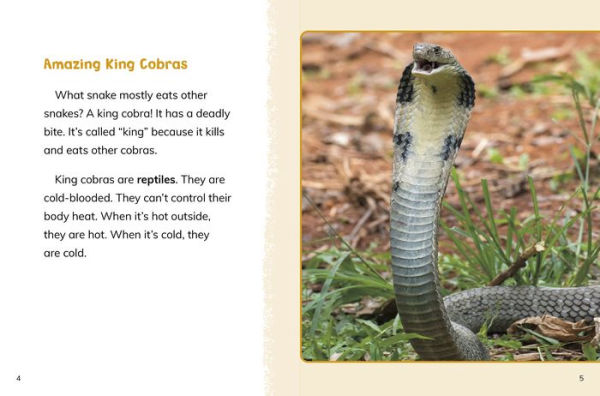 King Cobras