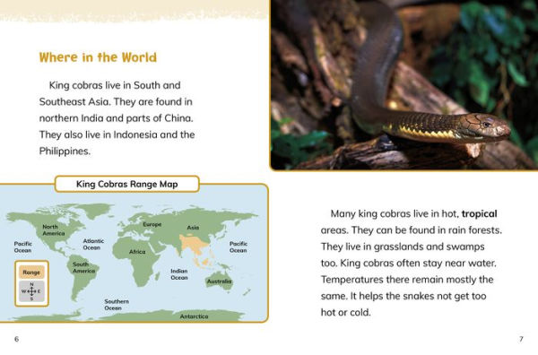 King Cobras