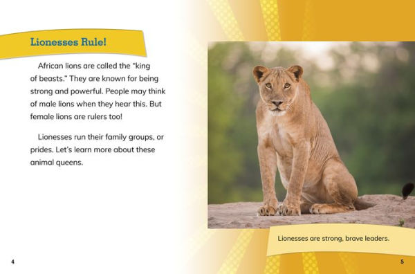 African Lionesses: Hunters of the Pride