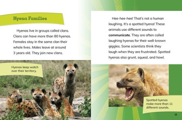 Female Spotted Hyenas: Commanders of the Clan