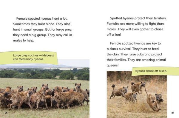 Female Spotted Hyenas: Commanders of the Clan