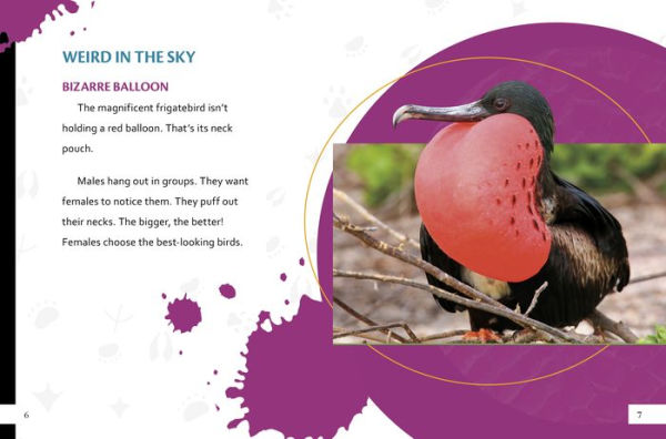 Unbelievably Weird Creatures