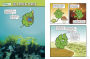 Alternative view 3 of The Amazing Journey from Moss to Rain Forests: A Graphic Novel about Earth's Plants