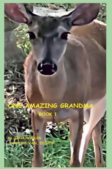 ONE AMAZING GRANDMA: BOOK 1