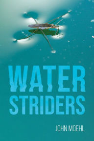 Title: Water Striders, Author: John Moehl