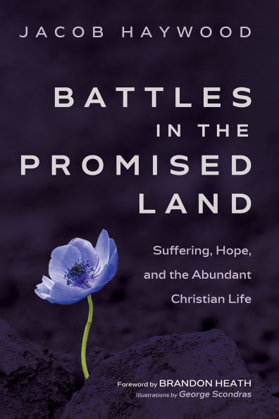 Battles the Promised Land: Suffering, Hope, and Abundant Christian Life