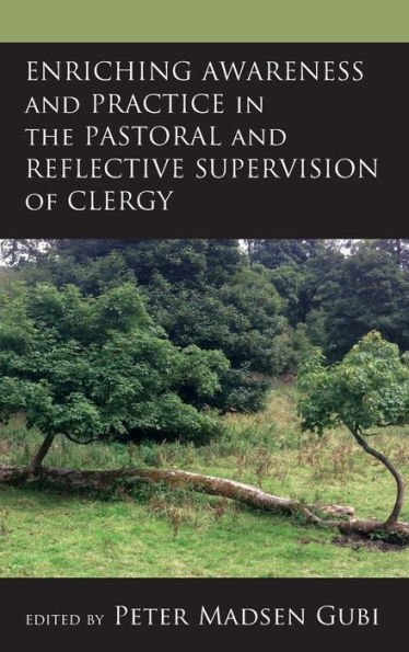 Enriching Awareness and Practice the Pastoral Reflective Supervision of Clergy