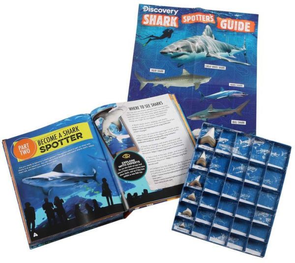 Discovery: Shark Spotter's Guide