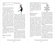 Alternative view 2 of The Encyclopedia of Secret Signs and Symbols