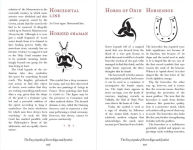 Alternative view 3 of The Encyclopedia of Secret Signs and Symbols