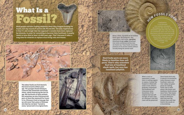 Smithsonian Kids: Dinosaur Fossil Hunter by Editors of Silver Dolphin ...