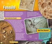 Alternative view 3 of Smithsonian Kids Dinosaur Guidebook & Projector