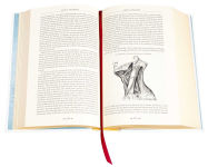 Alternative view 3 of Gray's Anatomy: Anatomy Descriptive and Surgical