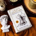 Alternative view 4 of Gray's Anatomy: Anatomy Descriptive and Surgical