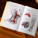 Alternative view 5 of Gray's Anatomy: Anatomy Descriptive and Surgical