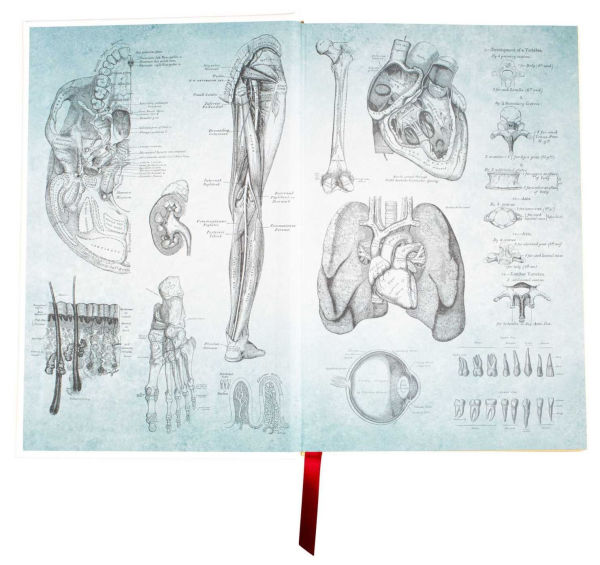 Gray's Anatomy: Anatomy Descriptive and Surgical