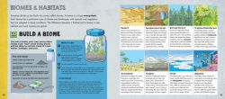 Alternative view 3 of Engineer Academy: Earth