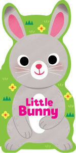 Title: Little Bunny, Author: Maggie Fischer