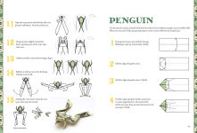 Alternative view 4 of Dollar Origami: 10 Origami Projects Including the Amazing Koi Fish
