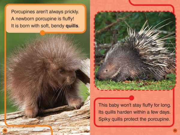 Discovery Kids All-Star Reader: Fluffy, Puffy Animals! Level 1