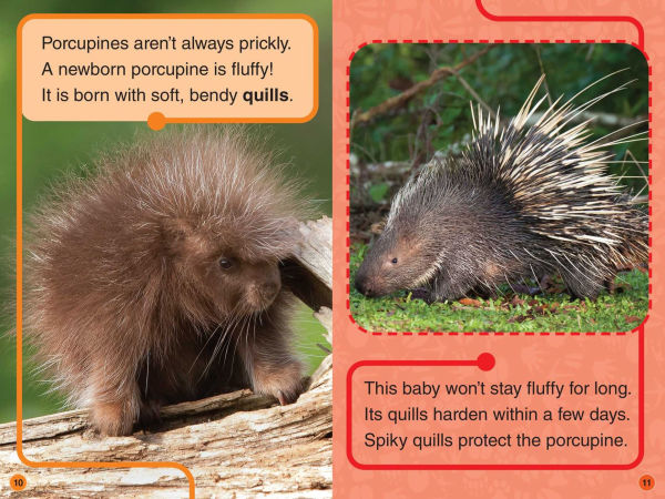 Discovery Kids All-Star Reader: Fluffy, Puffy Animals! Level 1