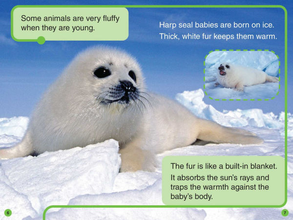 Discovery Kids All-Star Reader: Fluffy, Puffy Animals! Level 1