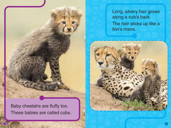 Discovery Kids All-Star Reader: Fluffy, Puffy Animals! Level 1