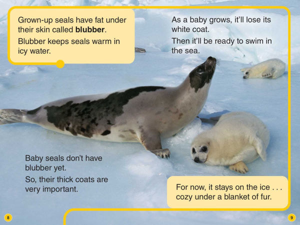 Discovery Kids All-Star Reader: Fluffy, Puffy Animals! Level 1
