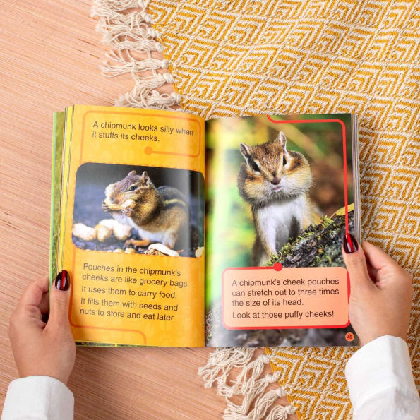 Discovery Kids All-Star Reader: Fluffy, Puffy Animals! Level 1
