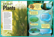Alternative view 4 of Smithsonian Kids Young Explorers: Oceans